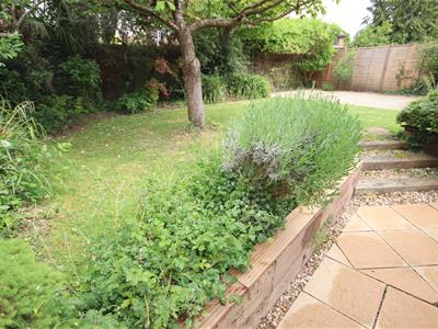 Picture 19